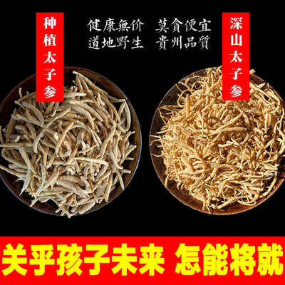 农家正宗特级贵州施秉500g太子参