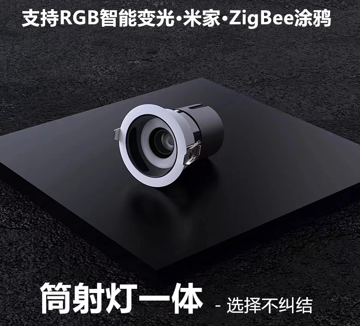 筒射灯一体RGBCW氛围灯ZigBee涂鸦子母无主灯米家KTV剧本杀全色域怎么看?
