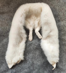 白色真狐狸披肩围巾原板皮搭婚纱结婚搭旗袍华贵奢华保暖高档白狐