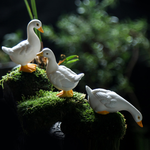 小白鹅动物陶瓷摆件花园庭院盆栽鱼缸假山水景造客厅桌面装饰工艺