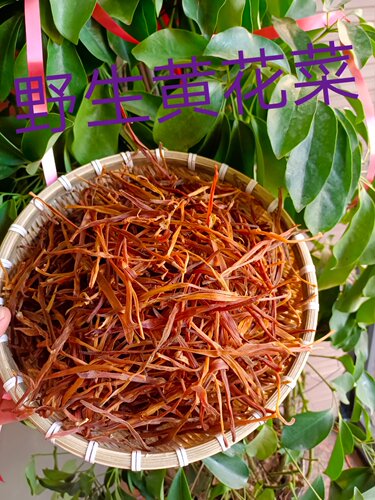 黄花菜东北野生黄花菜 农家蒸熟后自然晾晒干菜 无硫熏500克包邮
