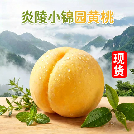 湖南炎陵小锦园黄桃高山中熟桃子毛桃脆甜多汁新鲜水果产地直发
