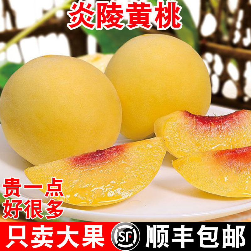 湖南新鲜现摘炎陵黄桃脆甜桃子