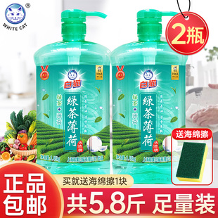 白猫绿茶薄荷洗洁精1.45kg瓶家用厨房洗碗液洗涤剂去油污官方正品