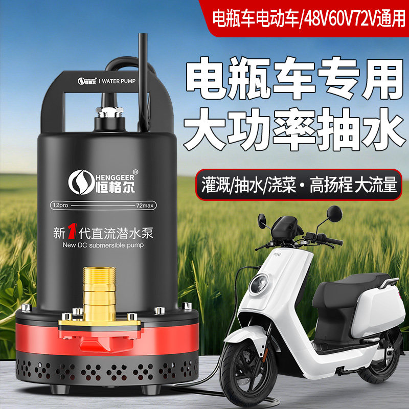12v抽水泵48v60v72v电动车抽水泵电动车专用抽水泵农用直流潜水泵