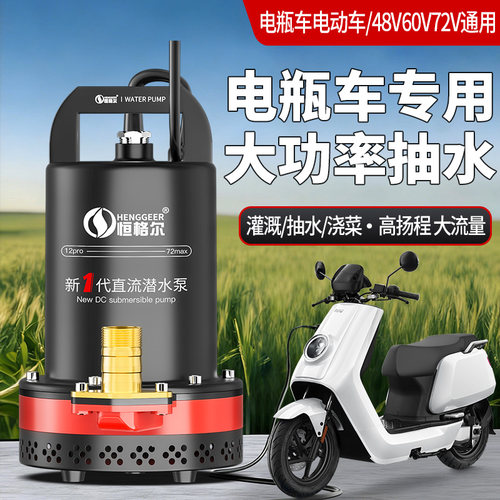 12v抽水泵48v60v72v电动车抽水泵电动车专用抽水泵农用直流潜水泵