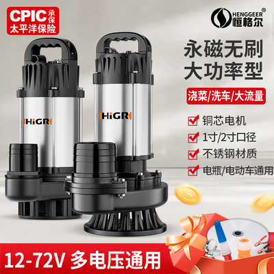 无刷直流大功率电动车专用抽水泵