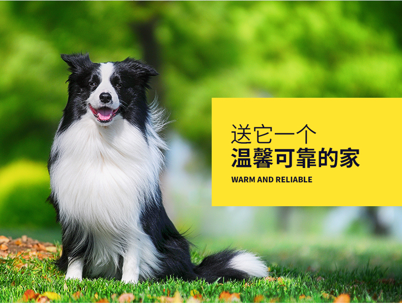 星斗笼子运费补差邮费差价链接配件专拍