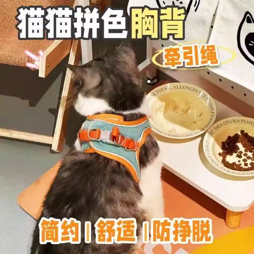 猫咪牵引绳防挣脱专用猫绳小型