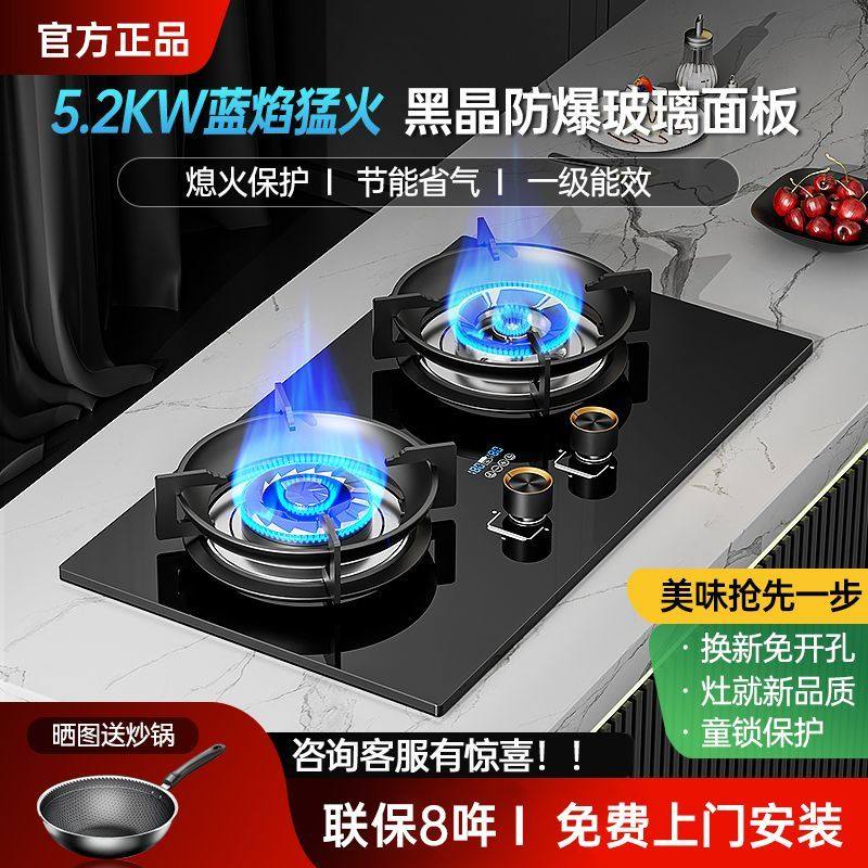 雅纯RIOBGN谢老板家用一级节能猛火全铜燃气灶煤气灶双灶台式嵌入