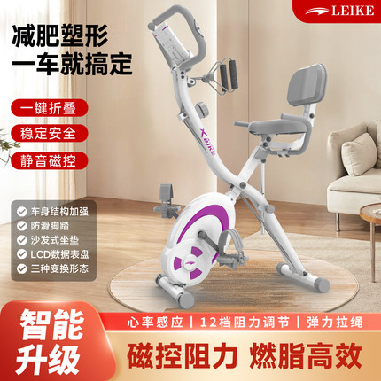 LEIKE雷克动感单车家用脚踏运动健身器材折叠小型器材室内超静音
