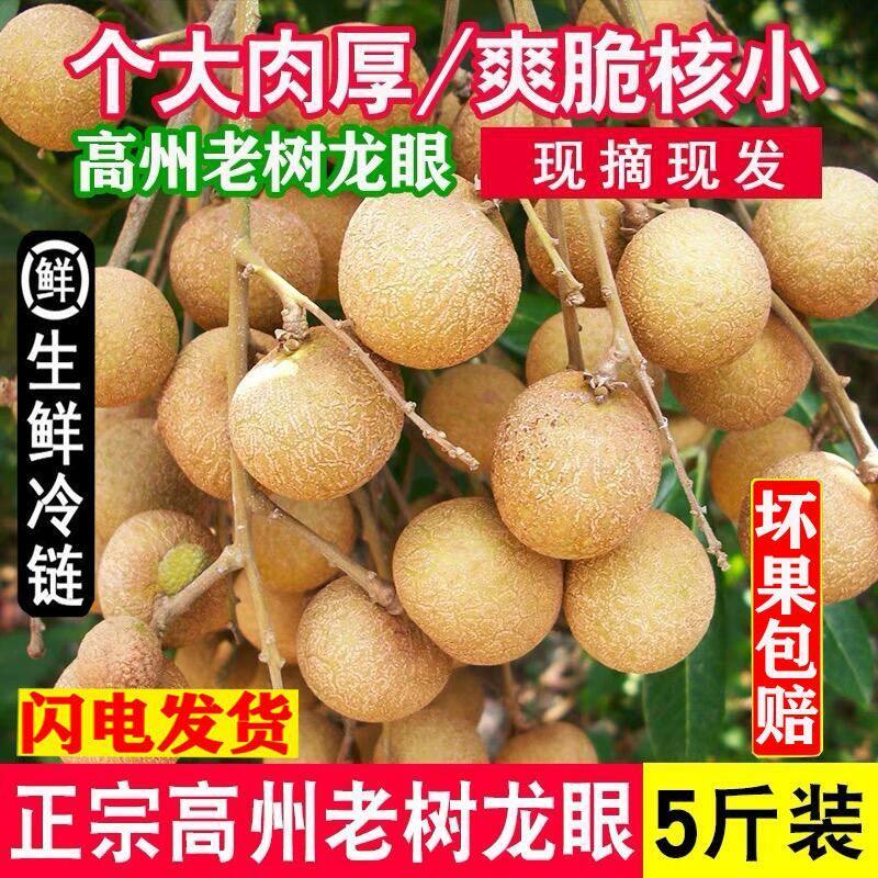 龙眼新鲜现摘高州石硖龙眼老树新鲜当季水果桂圆储良5斤冷链包邮