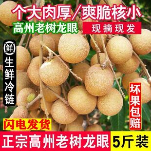 龙眼新鲜现摘高州石硖龙眼老树新鲜当季水果桂圆储良5斤冷链包邮
