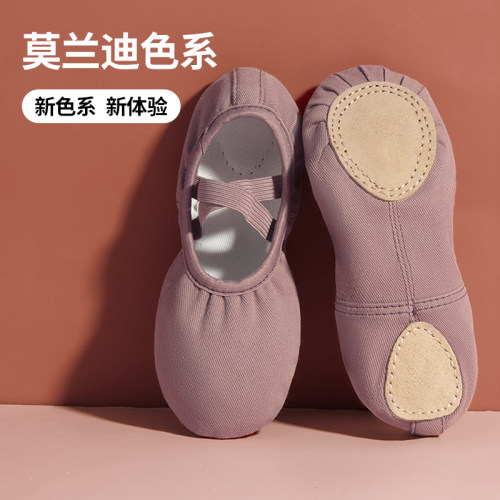 舞蹈鞋软底女专业教师跳舞形体