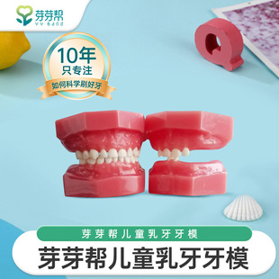 芽芽帮儿童乳牙牙模6颗牙20颗牙