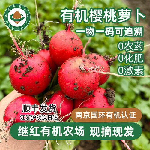 继红农场有机樱桃萝卜