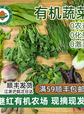 继红有机农场有机蔬菜顺丰发货