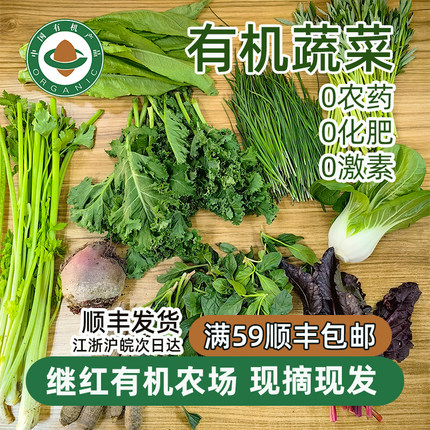继红有机农场蔬菜套餐配送组合萝卜沙拉新鲜羽衣甘蓝生菜认证天然