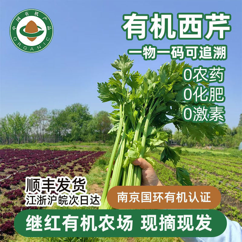 继红有机农场有机认证西芹专用榨汁当季蔬菜新鲜现摘西芹杆顺丰,水产肉类/新鲜蔬果/熟食,叶菜类,淘宝优惠券,粉丝福利购,淘宝优惠卷