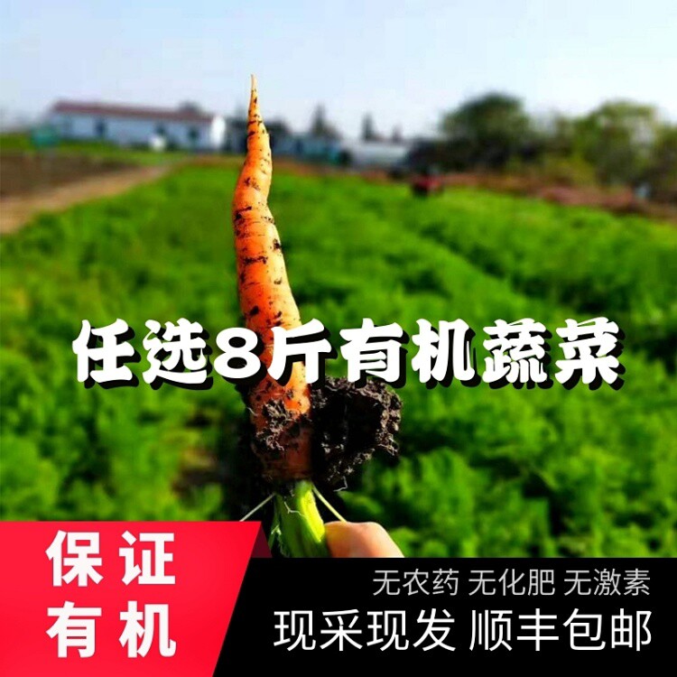 【继红有机农场】宅配蔬菜套餐任选8斤新鲜当季时令生鲜食材辅食