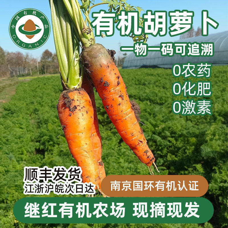 继红有机农场有机胡萝卜当季新鲜蔬菜现挖现发脆甜农家自种顺丰,水产肉类/新鲜蔬果/熟食,萝卜/胡萝卜,淘宝优惠券,粉丝福利购,淘宝优惠卷