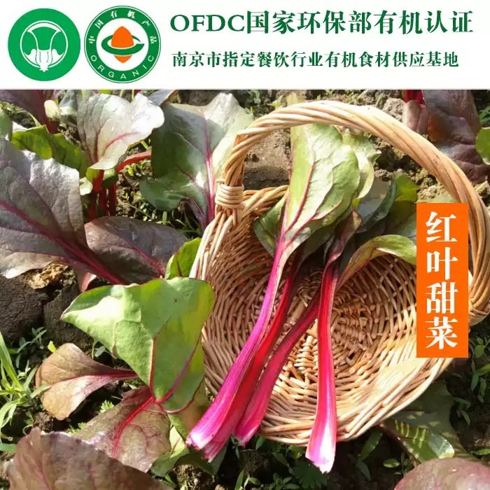 继红有机红叶甜菜叶子新鲜食用蔬菜甜菜叶现摘现发500g顺丰配送,水产肉类/新鲜蔬果/熟食,叶菜类,淘宝优惠券,粉丝福利购,淘宝优惠卷