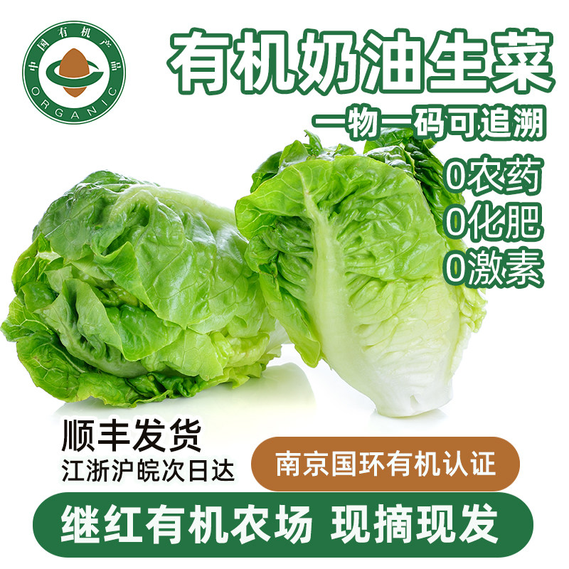 继红有机农场有机奶油生菜当季新鲜蔬菜叶菜类0农药0激素顺丰配送