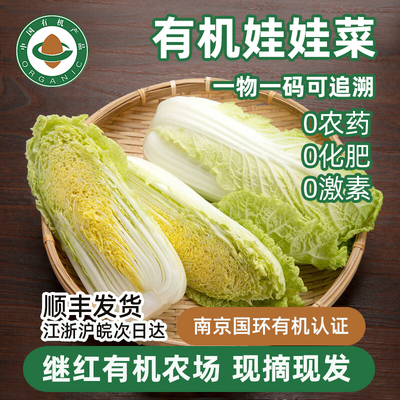 继红有机农场有机认证娃娃菜黄心小白菜新鲜应季蔬菜顺丰配送火锅