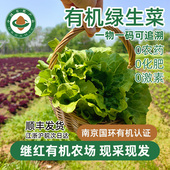 继红有机农场有机绿生菜时令蔬菜新鲜现摘叶菜鲜嫩生菜叶鲜活