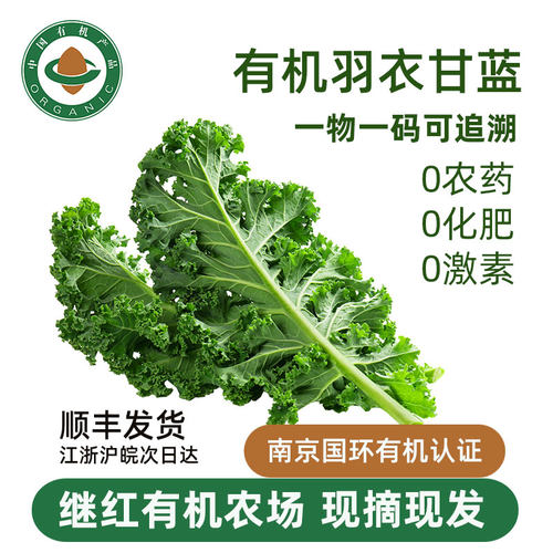 继红有机农场有机羽衣甘蓝发顺丰