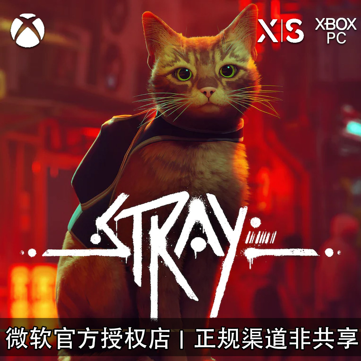 XBOX/PC游戏Stray迷失猫咪图片