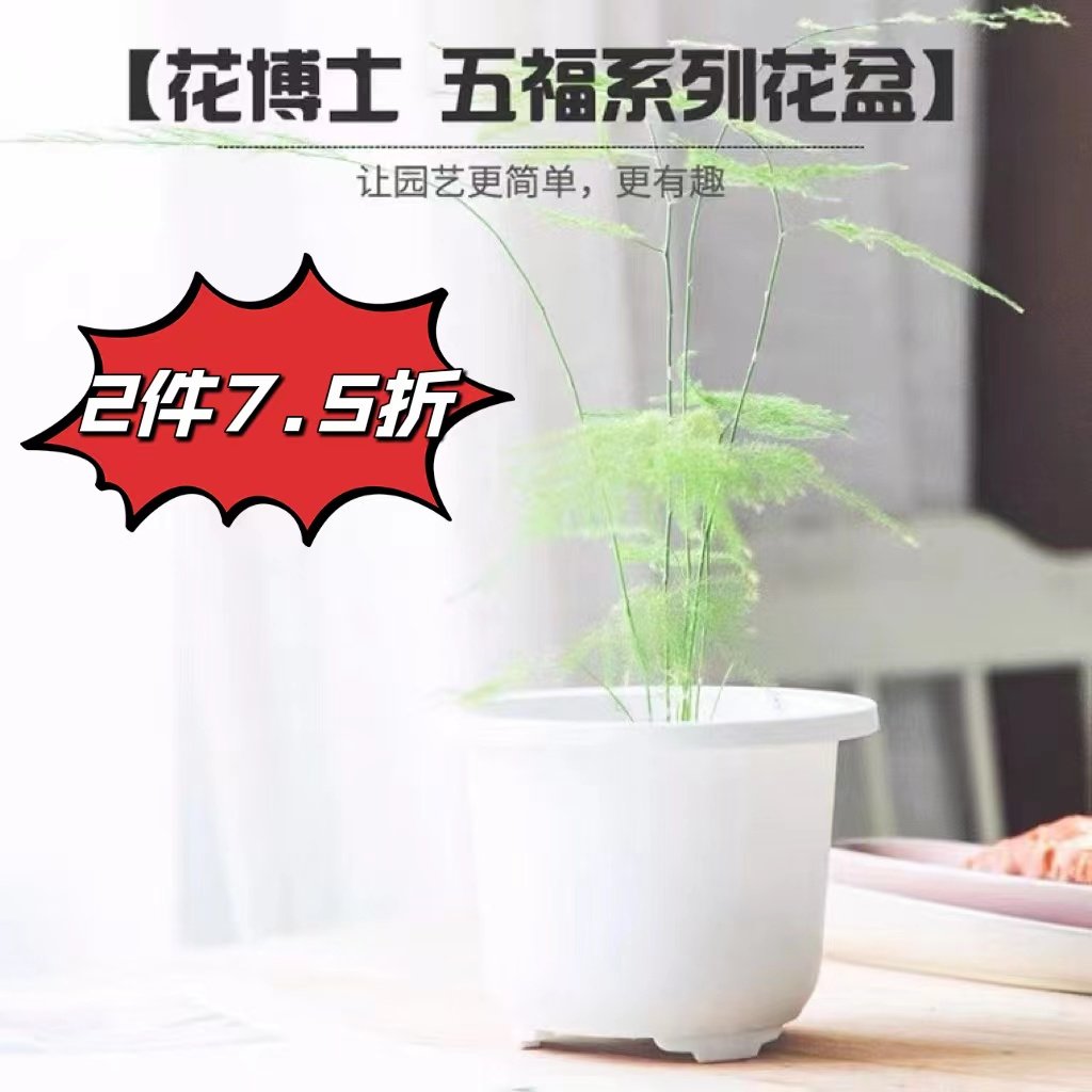 简约塑料加厚花盆白色环保无味图片