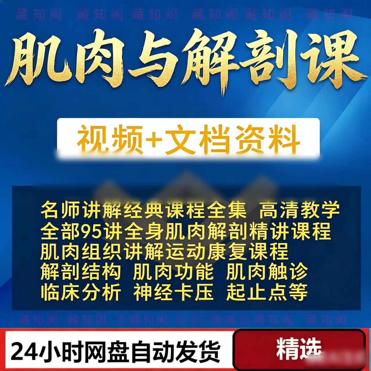肌肉与解剖课程全身肌肉系统功能组织运动康复理疗视频教学教程