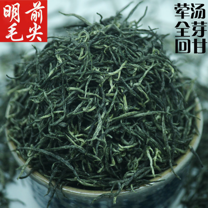 正宗荤汤信阳茶叶2024新茶明前毛尖全嫩芽高山绿茶浓香型春茶25