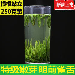 保康松针雀舌绿茶毛尖纯芽2024明前特级芽茶根根站立竹叶250g浓香