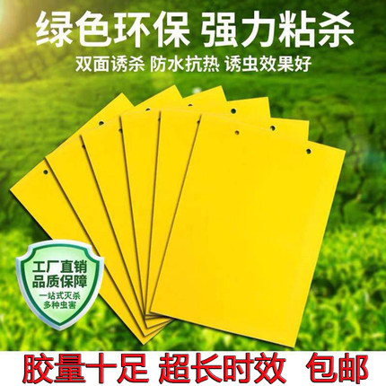 粘虫板黄板包邮双面蓟马蓝板诱虫黄色小黑飞家用农用果园大棚专用
