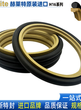 赫莱特H16进口轴用油封斯特封组合175 180*190.5 195.5 195.1*6.3