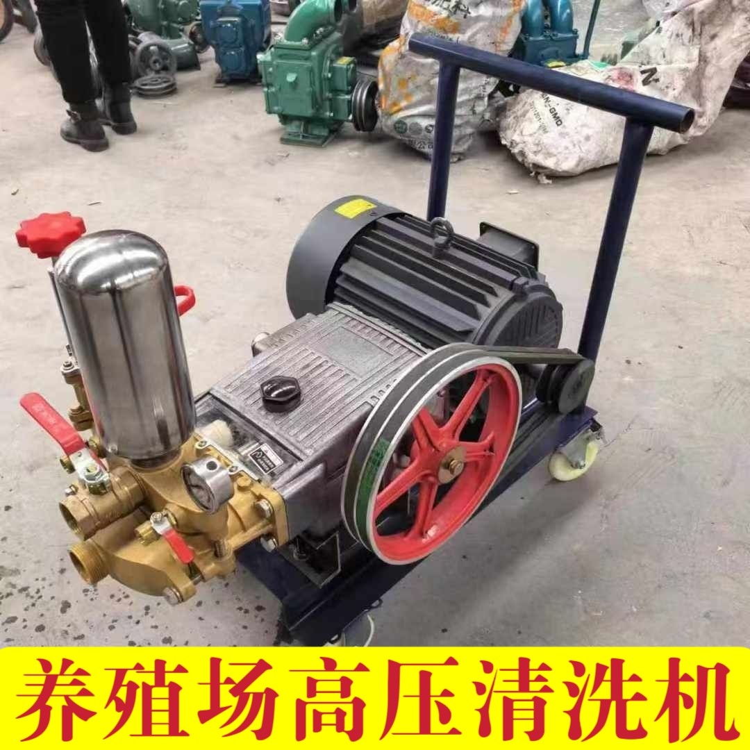 养殖场高压清洗机陶瓷双枪大流量喷雾冲洗鸡鸭棚猪栏