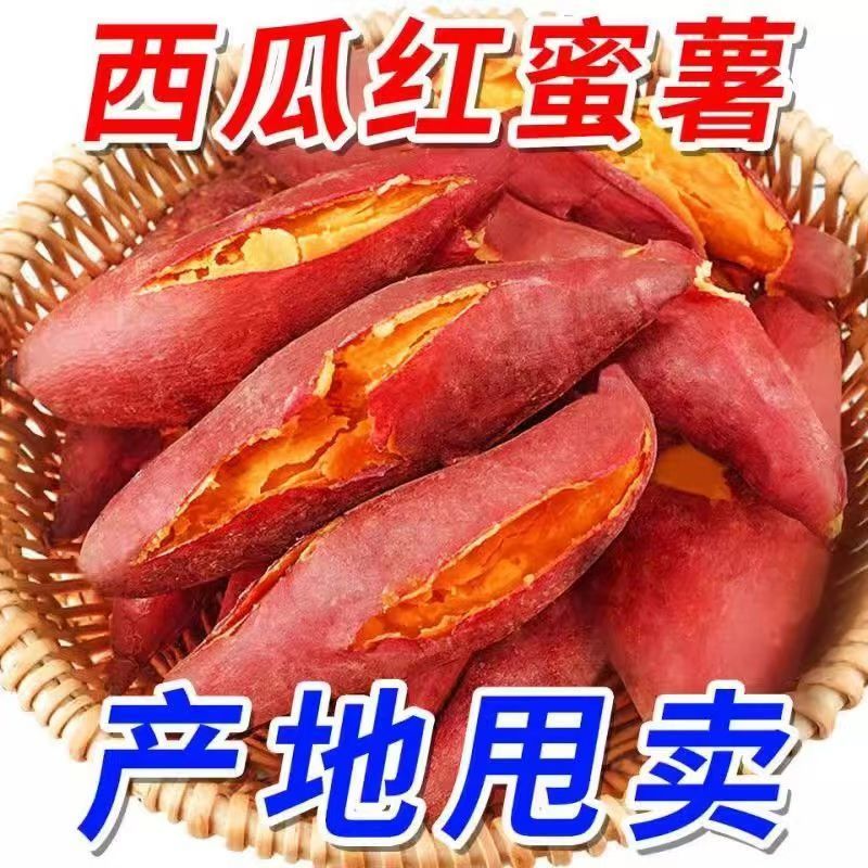 西瓜红薯蜜薯地瓜新鲜蔬菜板栗糖番薯