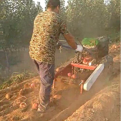 薯类收获机厂家 收地瓜的机械 土豆收获器 刨红薯机器 挖洋芋机