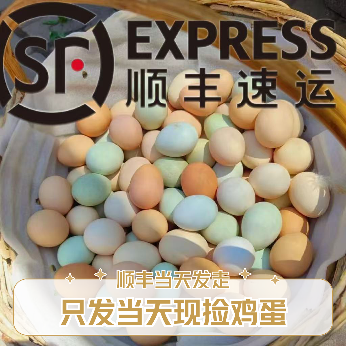 【50枚粉绿混装】乌鸡蛋土鸡蛋混装只发当天新鲜鸡蛋顺丰当天发走,水产肉类/新鲜蔬果/熟食,鸡蛋,淘宝优惠券,粉丝福利购,淘宝优惠卷