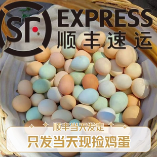 【粉绿混装】乌鸡蛋土鸡蛋混装只发当天鸡蛋顺丰当天发走破碎包赔