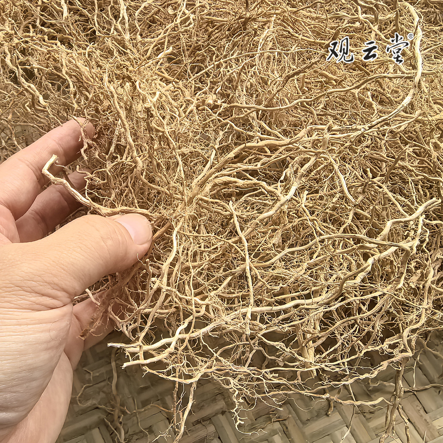 观云堂香草根岩兰草培地茅可提炼精油纯露定香剂具甜味