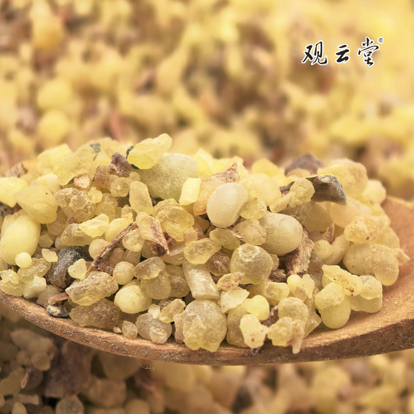 观云堂中东阿曼绿乳香珠小颗粒通货甜味清香熏陆香气足制香可磨粉