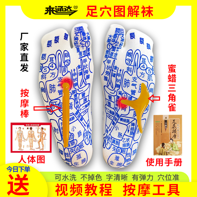 穴位反射区经络图解袜子精准按摩脚足底足疗保健养生指压袜子手套
