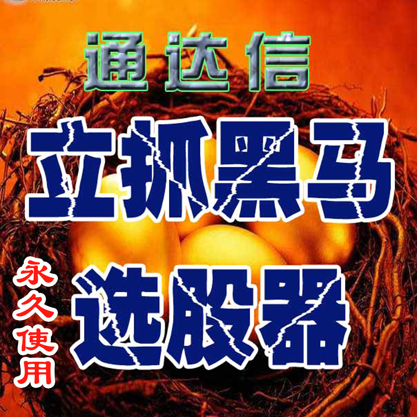 选黑马股抓主升浪买到即赚到