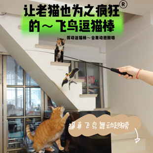 飞鸟逗猫棒响纸声舞动翅膀猫咪玩具仿真鸟儿老猫自嗨替换头解闷幼