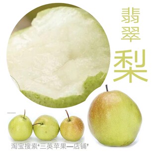 黄陵翡翠梨新鲜水果田庄巨头现摘现发整箱包邮气柱包裹坏果包赔
