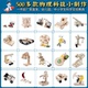 科技小制作小发明科学小实验套装 马达益智diy儿童手工材料小学生