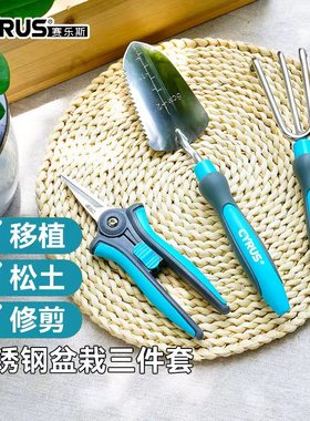 CYRUS赛乐斯园艺套装-不锈钢小盆栽三件套小铲子耙子茎叶剪刀工具